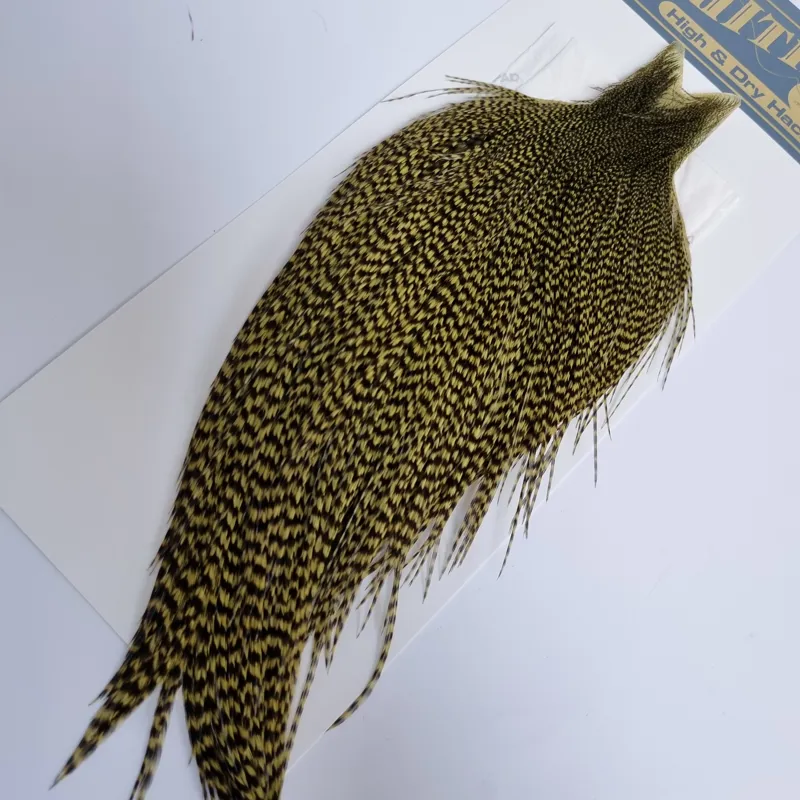 Whiting High and Dry Rooster Cape in Grizzly in Olive-5